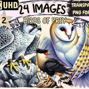Birds of Prey (P2) Clipart - 24 PNG Majestic Raptor Illustrations, Wildlife Art, Instant Digital Download, Unlimited Commercial Use Crafts