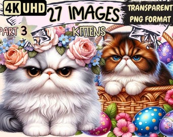 Adorable Kitten Clipart: 27 PNG Graphics, Commercial Use (Digital Download)