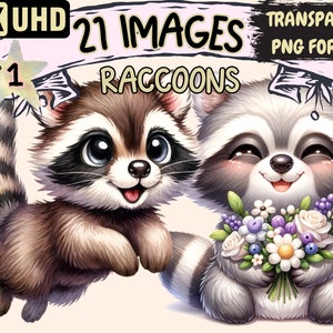 Waschbären Clipart - 21 PNG entzückende Waschbär-Grafiken, süße Druckvorlagen, sofortiger digitaler Download, unbegrenzte kommerzielle Nutzung Basteln & Designs