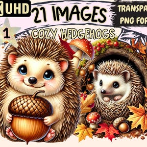Cozy Hedgehogs Clipart - 21 PNG Autumn Woodland Graphics, Animal Illustrations, Cute Printables, Instant Digital Download, Commercial Use