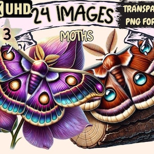 Moths Clipart – 24 Celestial Moth PNG Illustrations (Digital Download)
