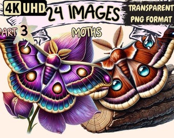 Moths Clipart – 24 Celestial Moth PNG Illustrations (Digital Download)