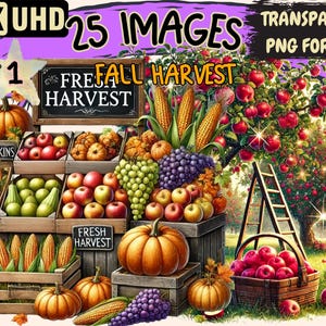 Fall Harvest Clipart - 25 PNG Autumn Bounty Illustrations, Seasonal Art, Instant Digital Download, Unlimited Commercial Use for Crafts