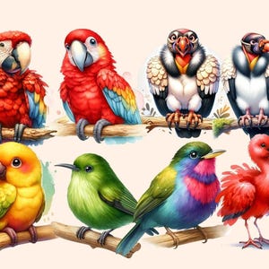 Jungle Birds Clipart birds clipart - Wonders Artist