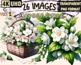 Jasmine Flower Clipart – 26 PNG Floral Graphics, Commercial Use (Digital Download)