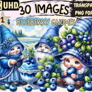 Blueberry Gnomes Clipart Bundle - 30 PNG Cute Gnome Graphics, Adorable Dwarf Printables, Instant Digital Download, Unlimited Commercial Use