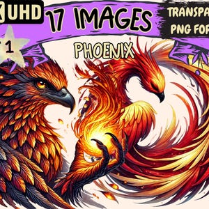 Phoenix Clipart - 17 PNG Mythical Bird Illustrations, Fantasy Flame Art, Instant Digital Download, Unlimited Commercial Use for Crafts