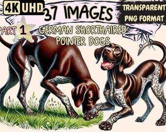 German Shorthaired Pointer Clipart – 37 Elegant Dog PNG Illustrations (Digital Download)