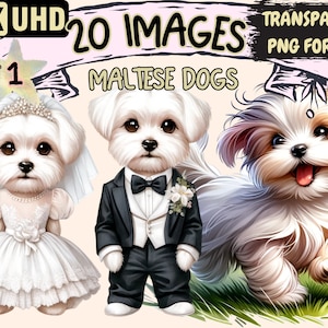 Maltese Dogs Clipart - 20 PNG Charming Dog Graphics, Cute White Maltese Puppy Printables, Instant Digital Download, Unlimited Commercial Use