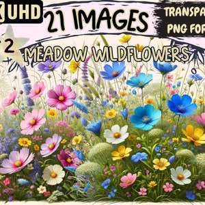 Meadow Wildflowers (P2) Clipart - 21 PNG Beautiful Flower Graphics, Nature Printables, Instant Digital Download, Unlimited Commercial Use