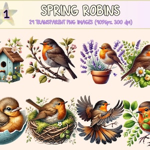 Spring Robins (P1) Clipart - 24 PNG Cute Springtime Bird Graphics, Nesting Robin Illustrations, Instant Digital Download, Commercial Use