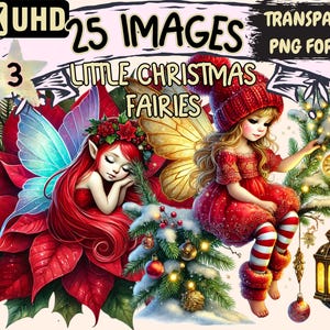 Little Christmas Fairies (P3) Clipart - 25 PNG Festive Fairy Illustrations, Holiday Art, Instant Digital Download, Unlimited Commercial Use