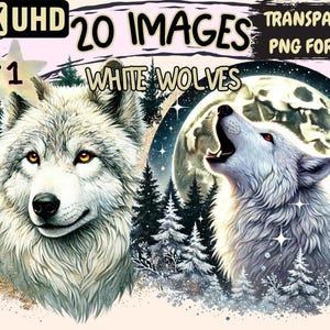 Arctic Wolf Clipart – 20 PNG Forest Wildlife Illustrations (Digital Download)