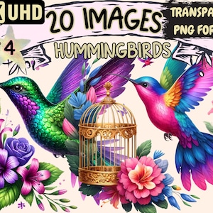 Hummingbirds (P4) Clipart - 20 PNG Floral Bird Graphics, Colorful Exotic Birds Printables, Instant Digital Download,Unlimited Commercial Use