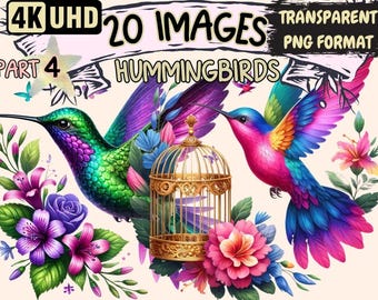 Hummingbird Clipart – 20 PNG Floral Bird Graphics (Digital Download)
