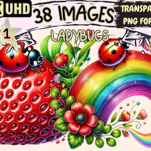 Ladybugs Clipart - 38 PNG Cute Red Insect Illustrations, Adorable Bug Art, Instant Digital Download, Unlimited Commercial Use for Crafts