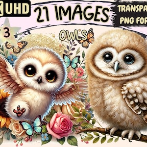 Owls (P3) Clipart - 21 PNG Nocturnal Bird Illustrations, Cute Adorable Owl Art, Instant Digital Download, Unlimited Commercial Use Crafts