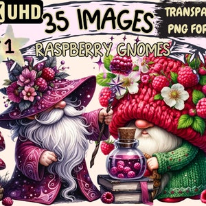 Raspberry Gnomes Clipart - 35 PNG Berry Gnome Graphics, Colorful Raspberry Printables, Instant Digital Download, Unlimited Commercial Use
