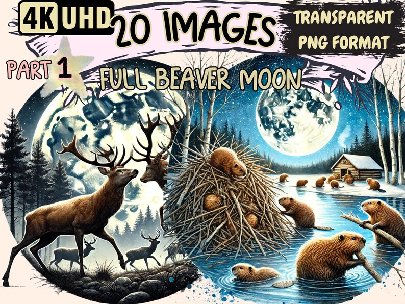 Full Beaver Moon Clipart – 20 PNG Lunar Illustrations (digital Download ...
