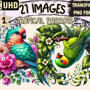 Tropical Parrots Clipart - 21 PNG Exotic Bird Graphics, Wildlife Illustrations, Jungle Printables, Instant Digital Download, Commercial Use