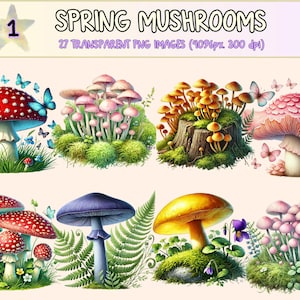 Spring Mushrooms Clipart - 27 PNG Whimsical Fungi Graphics, Woodland Nature Toadstool Illustrations, Instant Digital Download,Commercial Use