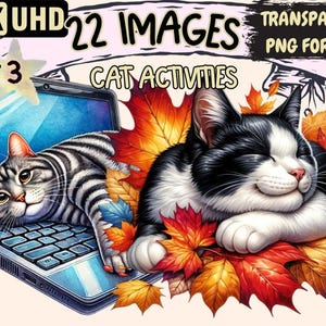 Playful Cat Activities Clipart – 22 PNG Graphics (Digital Download)