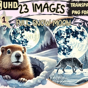Full Snow Moon Clipart - 23 PNG Lunar Illustrations, Farmer's Almanac Moons, Instant Digital Download, Unlimited Commercial Use for Crafts