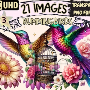 Hummingbirds (P3) Clipart - 21 PNG Floral Bird Graphics, Colorful Exotic Birds Printables, Instant Digital Download,Unlimited Commercial Use