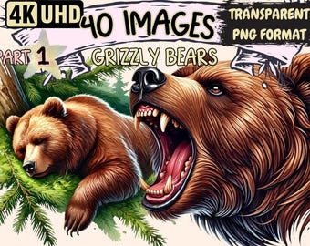Grizzly Bear Clipart – 40 Majestic Wildlife Illustrations (PNG Digital Download)
