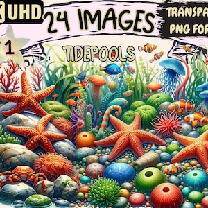 Tidepools Clipart - 24 PNG Marine Graphics, Ocean Sea Printables, Instant Digital Download, Unlimited Commercial Use for Crafts & Designs