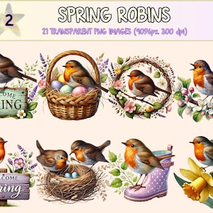 Spring Robins (P2) Clipart - 21 PNG Cute Springtime Bird Graphics, Nesting Robin Illustrations, Instant Digital Download, Commercial Use