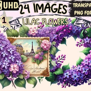 Lilac Flowers Clipart - 24 PNG Elegant Floral Graphics, Spring Flower Printables, Instant Digital Download, Unlimited Commercial Use Crafts