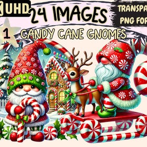 Candy Cane Gnomes (P1) Clipart - 24 PNG Festive Gnome Illustrations, Sweet Holiday Art, Instant Digital Download, Unlimited Commercial Use