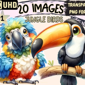 Jungle Birds Clipart Bundle - 20 PNG Exotic Bird Graphics, Cute Tropical Bird Printables, Instant Digital Download, Unlimited Commercial Use