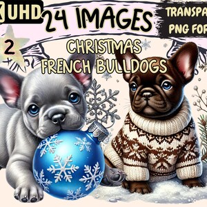 Christmas French Bulldogs (P2) Clipart - 24 PNG Festive Dog Illustrations, Holiday Art, Instant Digital Download, Unlimited Commercial Use