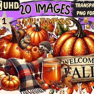 Fall Pumpkin Clipart – 20 Autumn PNG Illustrations (Digital Download)