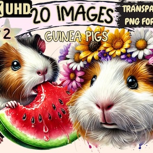 Guinea Pigs (P2) Clipart - 20 PNG Cute Guinea Pig Graphics, Adorable Pet Printables, Instant Digital Download, Unlimited Commercial Use