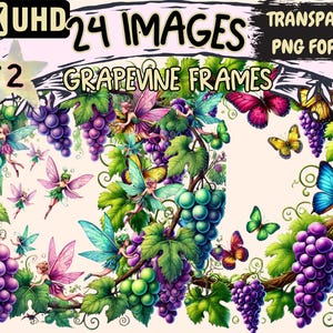Grapevine Frames (P2) Clipart - 24 PNG Vine-Themed Border Illustrations, Botanical Art, Instant Digital Download, Unlimited Commercial Use