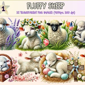 Fluffy Sheep Clipart - 32 PNG Cute Farm Animal Graphics, Pasture Illustrations, Spring Printables, Instant Digital Download, Commercial Use