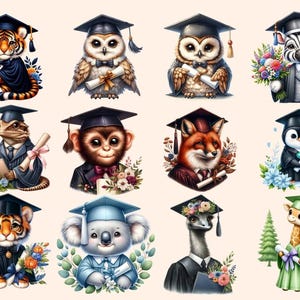 Graduation Animals Clipart Animal design - Wonders Artist