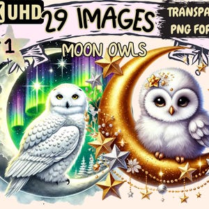 Moon Owls Clipart - 29 PNG Nocturnal Owl Graphics, Beautiful Mystical Night Printables, Instant Digital Download, Unlimited Commercial Use