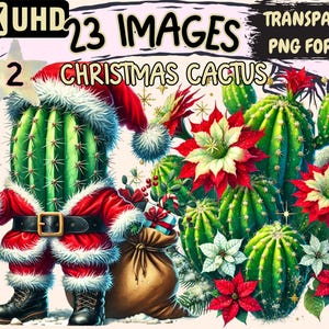 Christmas Cactus (P2) Clipart - 23 PNG Festive Cactus Illustrations, Holiday Art, Instant Digital Download, Unlimited Commercial Use Crafts