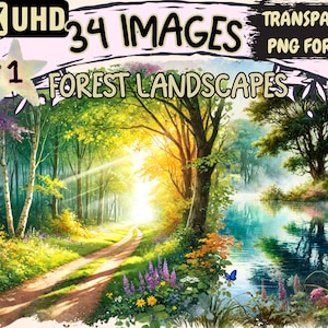 Forest Landscapes Clipart - 34 PNG Scenic Forest Graphics, Nature Printables, Instant Digital Download, Unlimited Commercial Use for Crafts