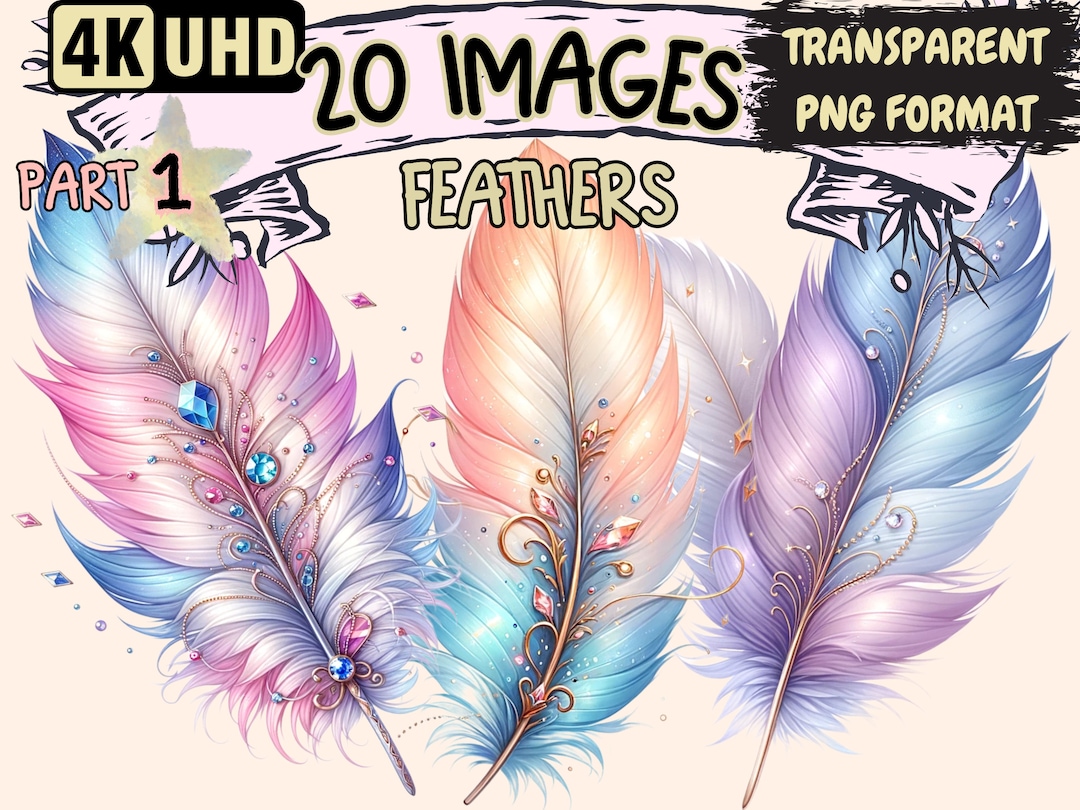 Feathers Clipart - 20 PNG Elegant Feather Graphics, Artistic Printables ...