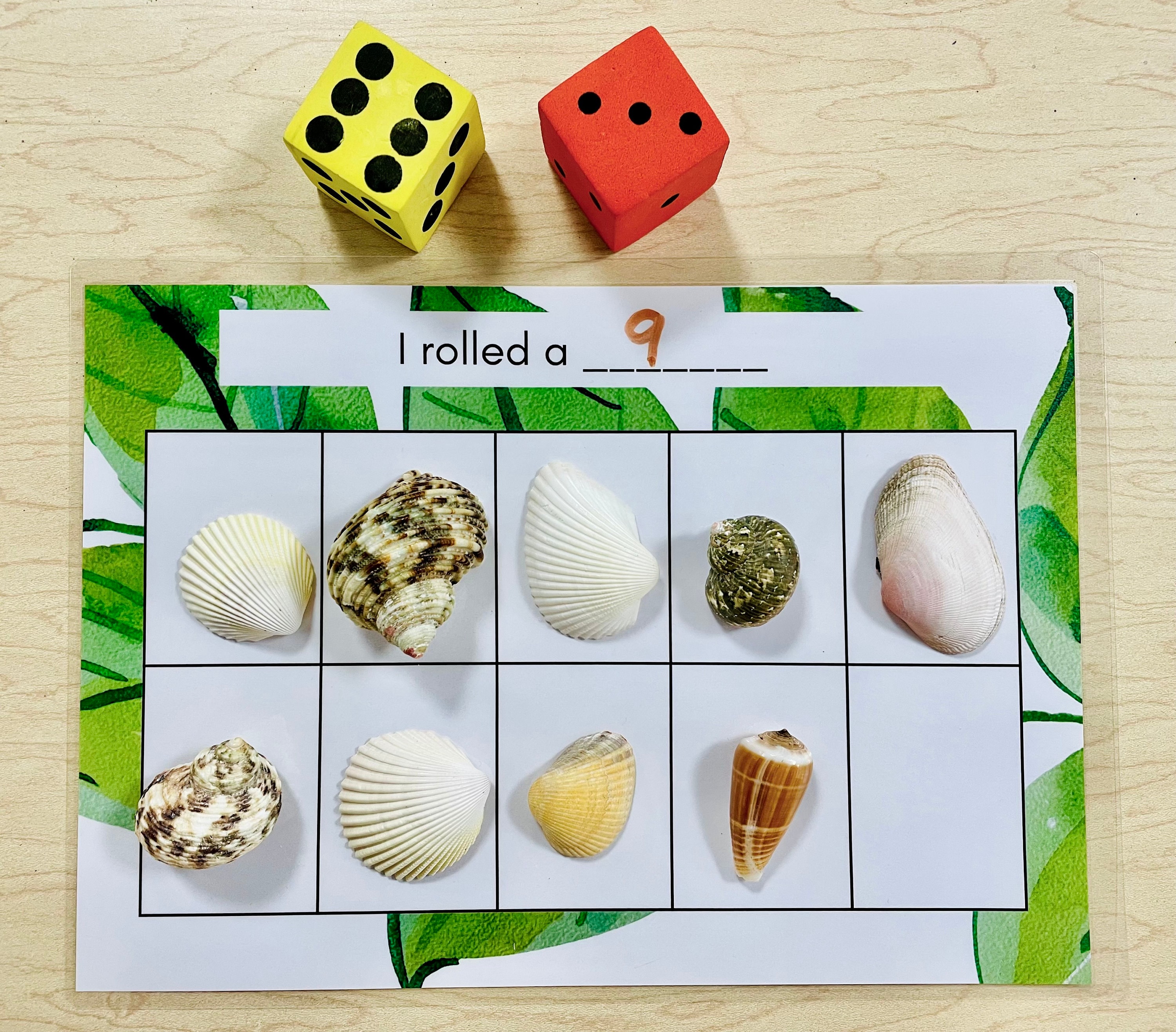 Pre-k EYFS Nursery Reggio Math Ten Frames Floral Nature Design Digital ...