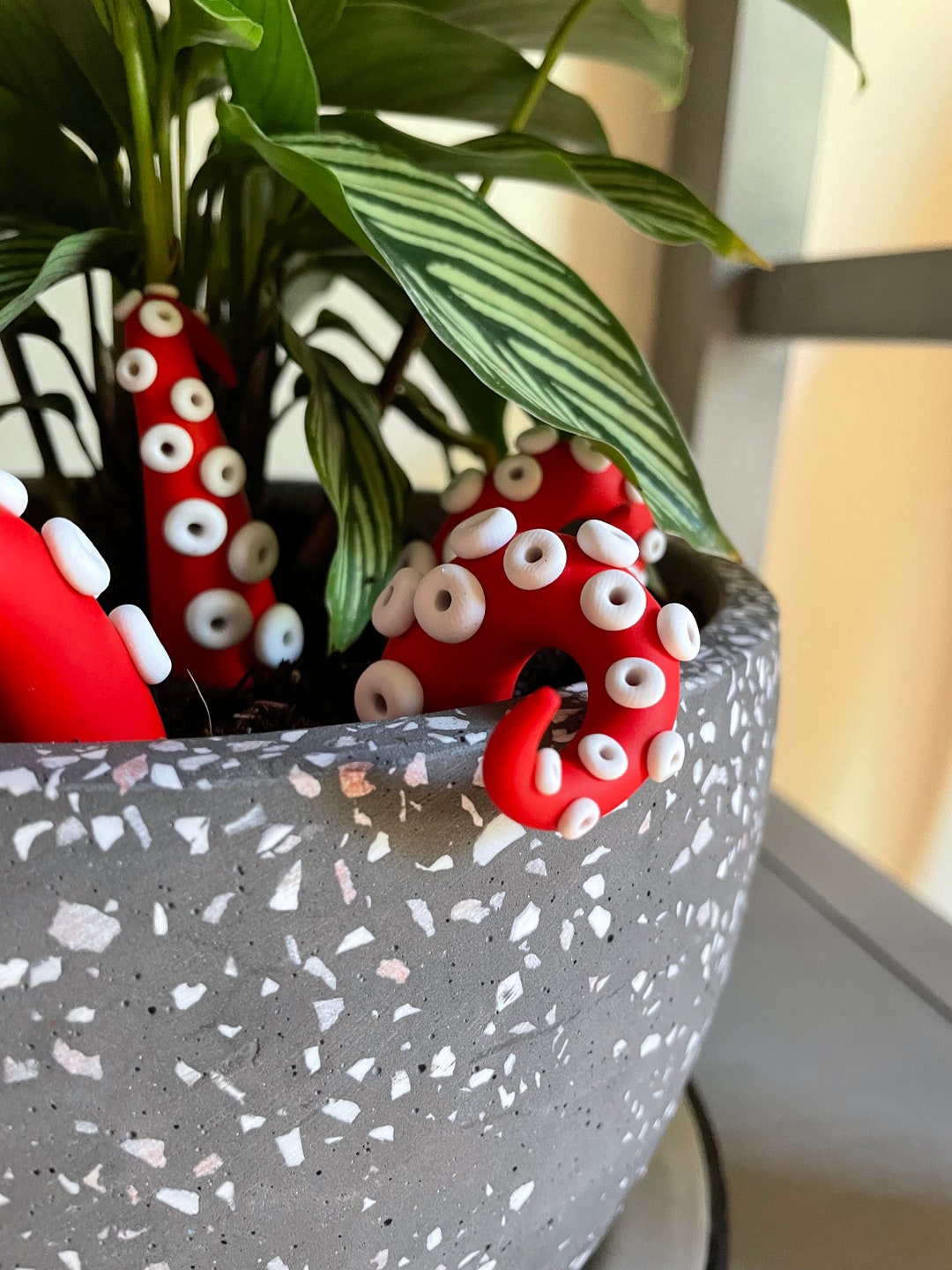 Plant Monster Plant Gifts Plant Accessories Tentacles Plant Etsy