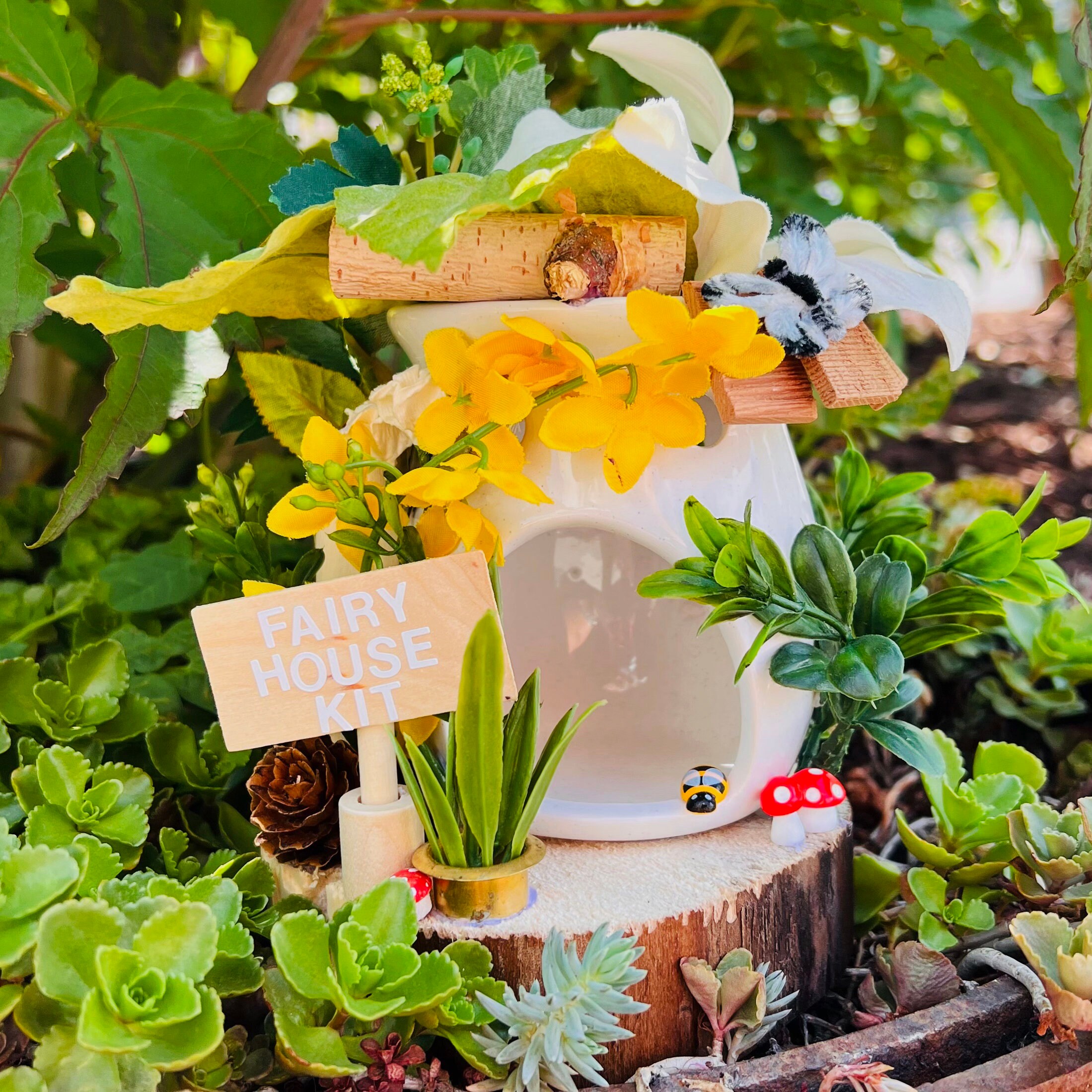 Fairy Garden Kits For Adults