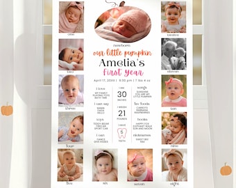 May include: A white milestone poster titled Our Little Pumpkin Amelia's First Year, featuring twelve baby photographs, birth details including 7 lbs 4 oz, 30 inches, 21 pounds, and 5 teeth, with lists of favorite foods, songs, books, and nicknames.
