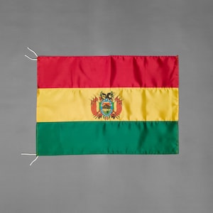 May include: A Bolivian flag with three horizontal stripes: red, yellow, and green. The yellow stripe features the Bolivian coat of arms, which depicts a condor with a crown and a sun.