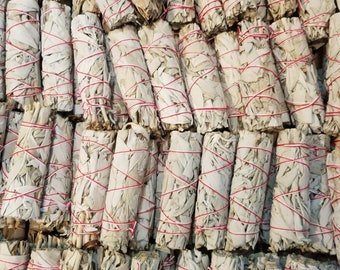 May include: A close-up view of a bundle of white sage smudge sticks tied with red string. The sticks are arranged in rows, creating a textured pattern.